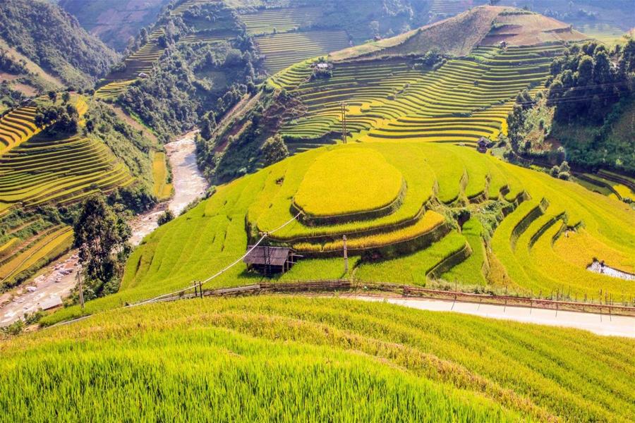 Nhìn từ trên cao ruộng bậc thang đẹp kì diệu