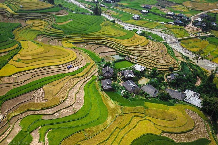 Ruộng bậc thang Đà Lạt thật đẹp