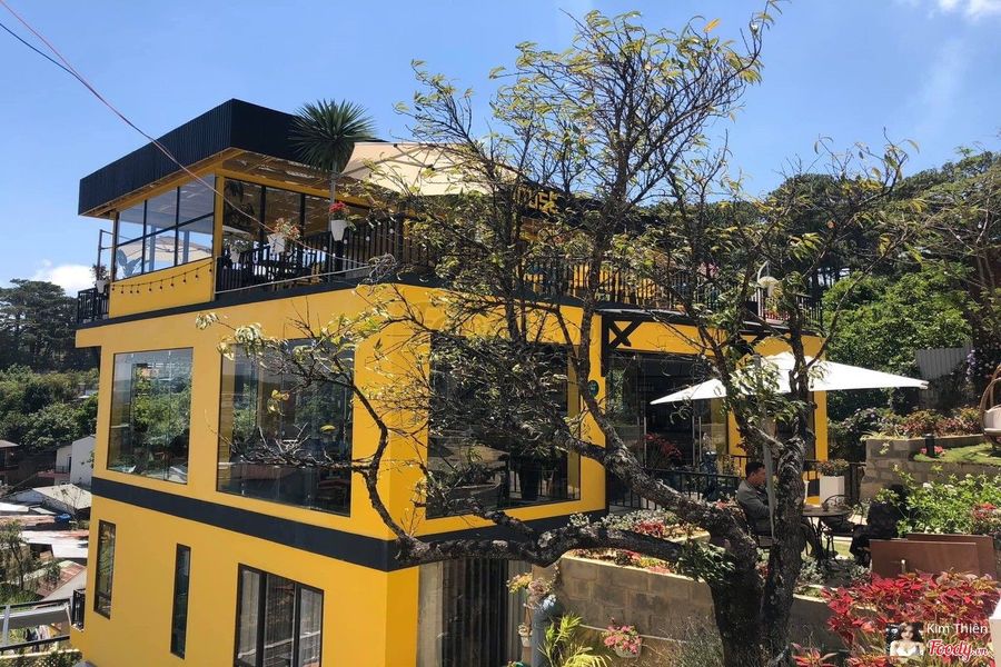 Viva House Đà Lạt Viva House Đà Lạt