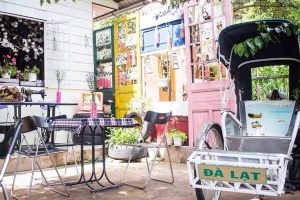 Sunshine Coffee – Thiên đường tím lịm tim giữa lòng Đà Lạt