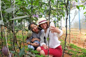 Trải nghiệm cuộc sống bình dị ở Làng Du Lịch Nông Nghiệp Xuân Hương