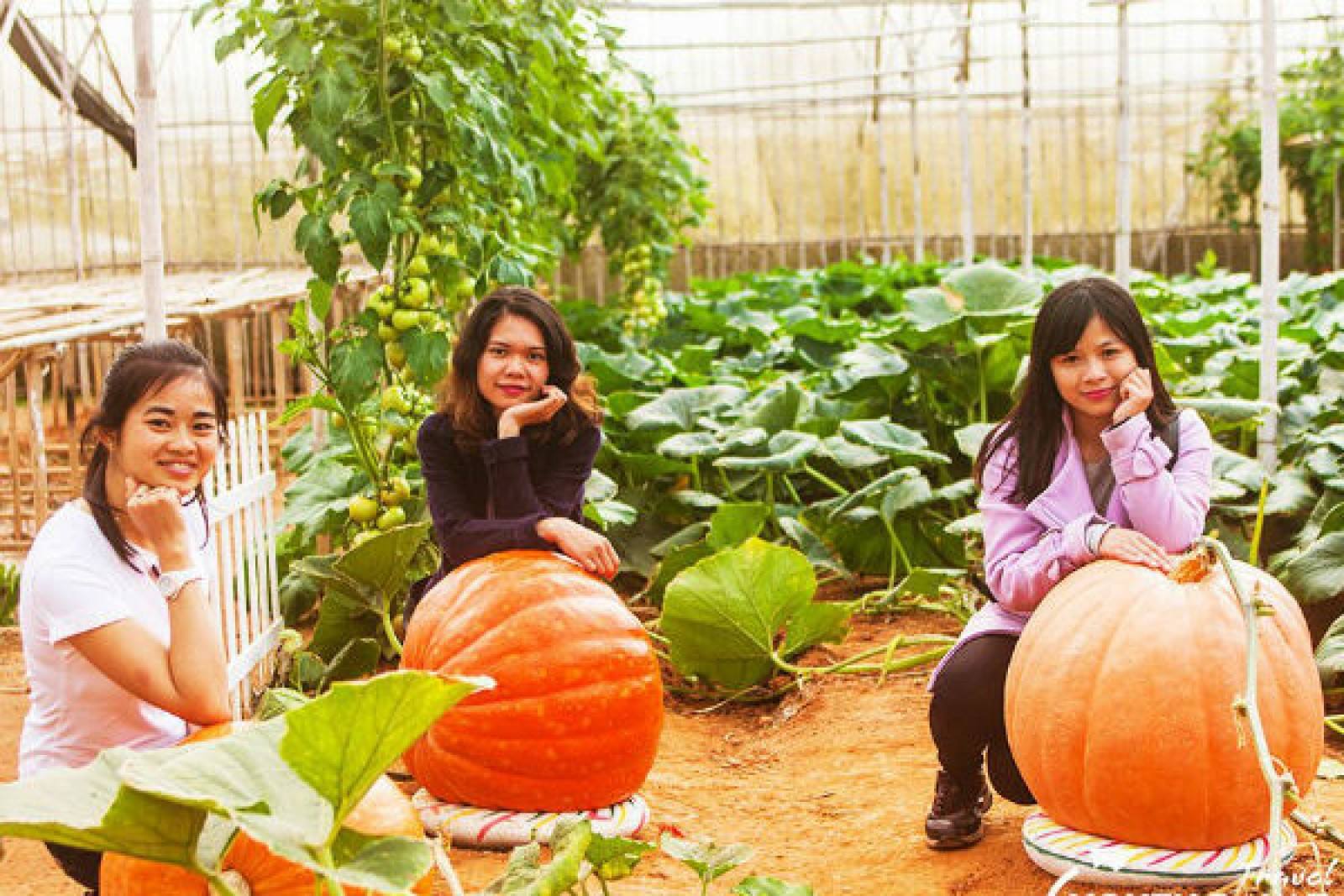 Khách du lịch tham quan làng Xuân Hương