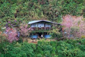 Ngó Dâu homestay – Ngôi nhà bên đồi quá đỗi bình yên