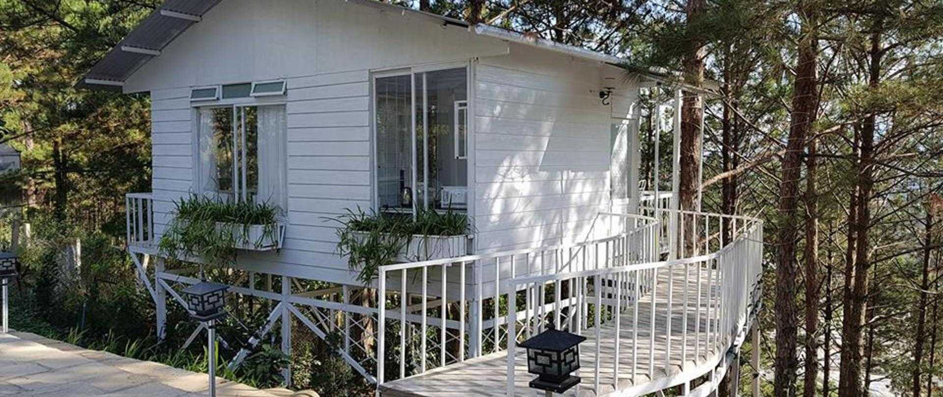Pine Hill homestay