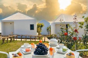 Khu nghỉ dưỡng Orion Resort and Hotel của Lý Nhã Kỳ có gì hấp dẫn?
