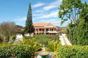 Chiêm ngưỡng trăm hoa đua nở tại Vườn hoa Minh Tâm