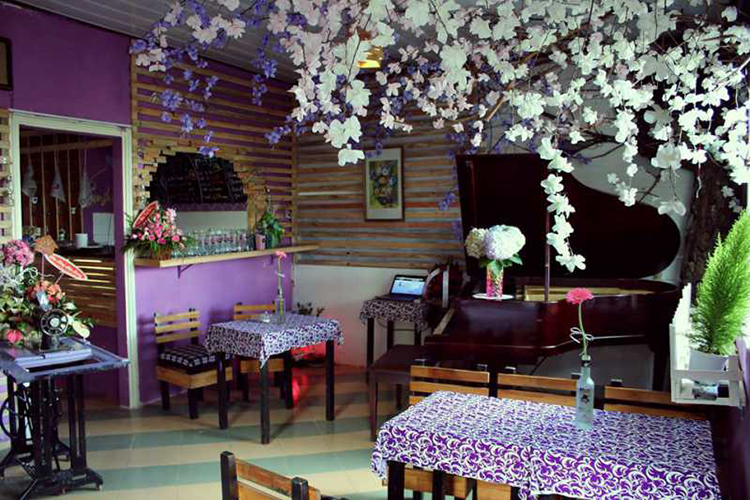 Sunshine tím mơ mộng
