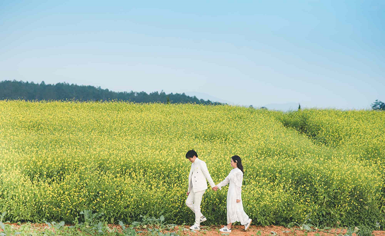 Chụp hình tại cánh đồng hoa cải siêu lãng mạn