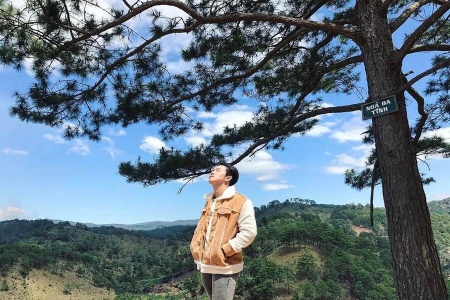 Cây thông ngã ba tình
