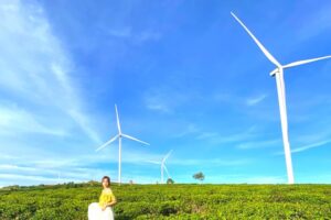 Top 5 khu đồi Đà Lạt sở hữu khung cảnh hoang sơ và view ngắm cảnh đẹp