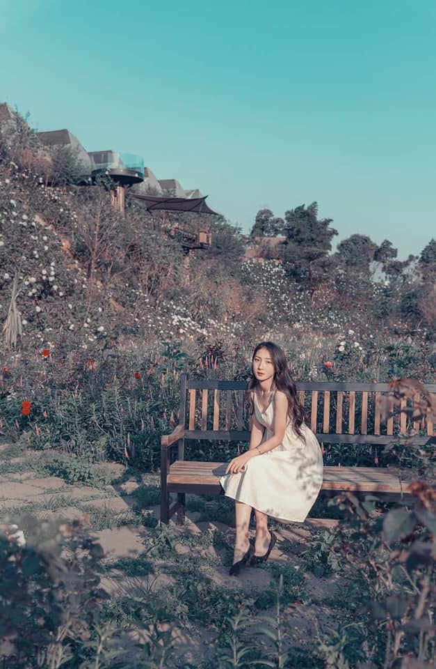 F cánh đồng hoa với hàng trăm loài hoa khoe sắc đua nở tuyệt đẹp
