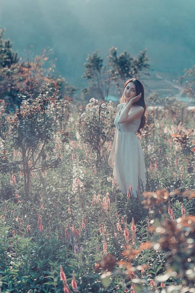 F cánh đồng hoa với hàng trăm loài hoa khoe sắc đua nở tuyệt đẹp