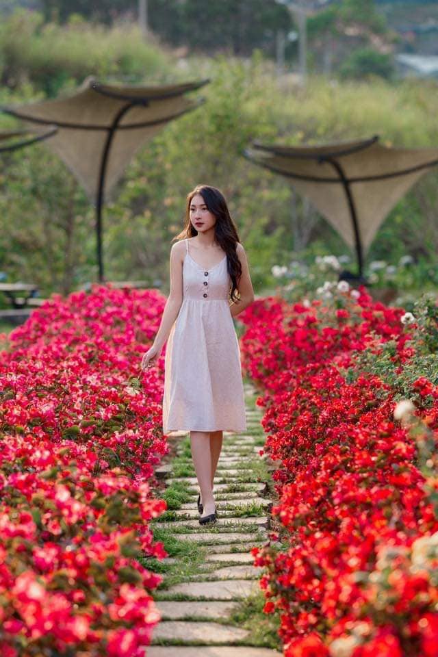 Background ngàn hoa sống ảo đẹp miễn chê