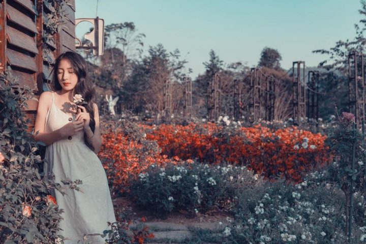 Background ngàn hoa sống ảo đẹp miễn chê