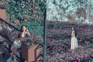 Lạc lối tại vườn hoa châu Âu quy mô khủng đẹp nhất Đà Lạt