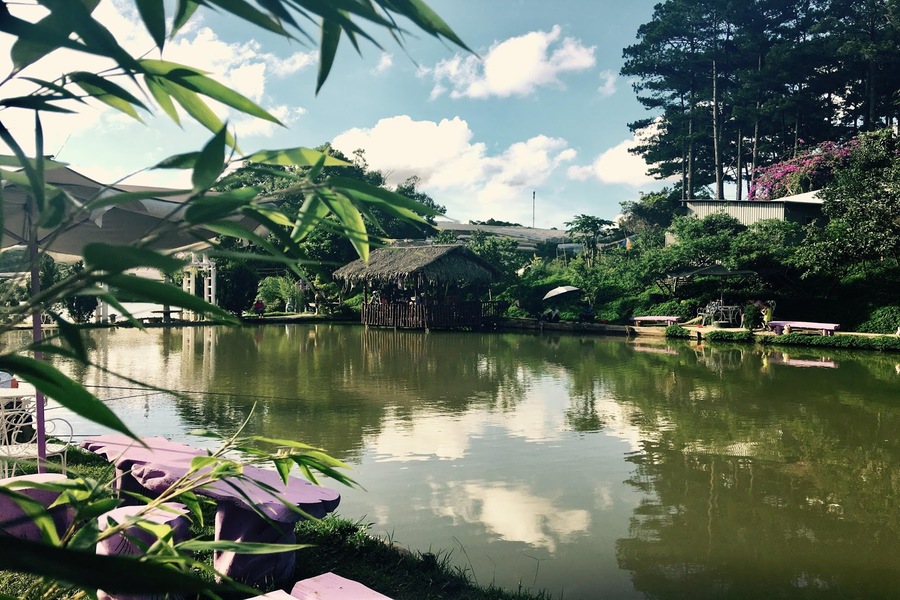 Khung cảnh bình yên ở hồ cá