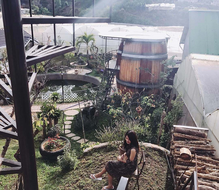 Homestay Wine Valley Homestay Wine Valley