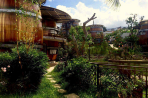 Trải nghiệm mô hình thùng rượu độc đáo Homestay Wine Valley