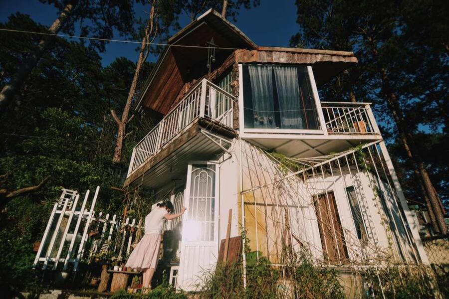 Không gian mới mẻ trong rừng