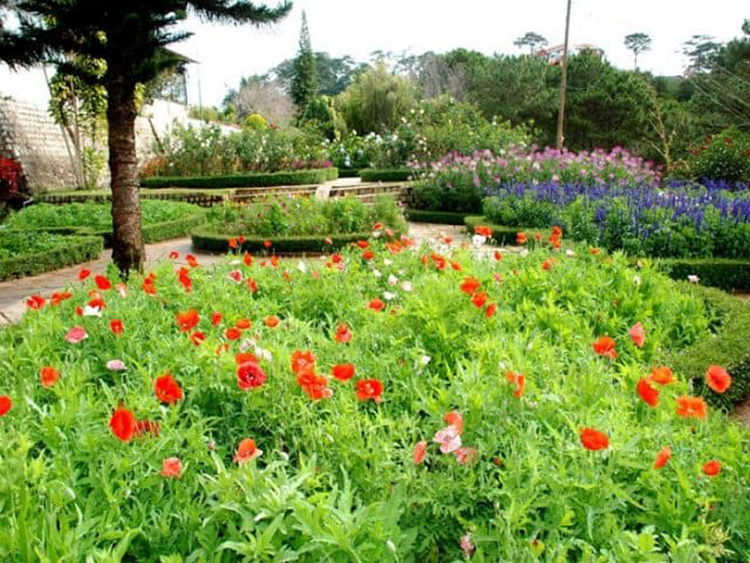 Trăm hoa đua sắc trong vườn