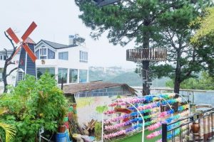 Tận hưởng kỳ nghỉ dưỡng tuyệt vời tại Oppa Homestay Đà Lạt