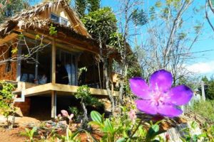 Củi Homestay – Căn nhà gỗ ban ngày ngắm hoa đêm về ngắm trăng