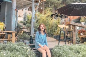 Ngắm vườn hoa cúc họa mi tinh khôi tại HIM Café