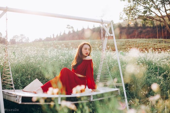 Chiếc xích đu ở vườn cải chụp hình Chiếc xích đu ở vườn cải chụp hình