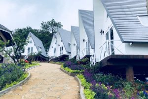 Bungalow Lâm Phượng Các – mang vẻ đẹp như chốn bồng lai tiên cảnh