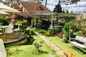 Khu nghỉ dưỡng ngập tràn hoa cỏ – Tout Petit Villa & Coffee