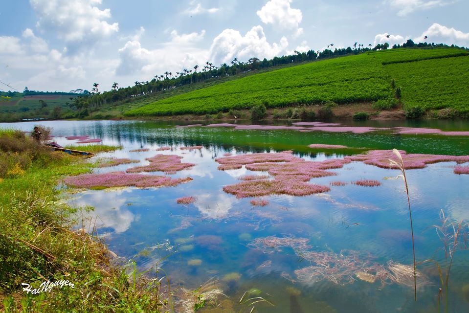 Tuyệt tác nghệ thuật