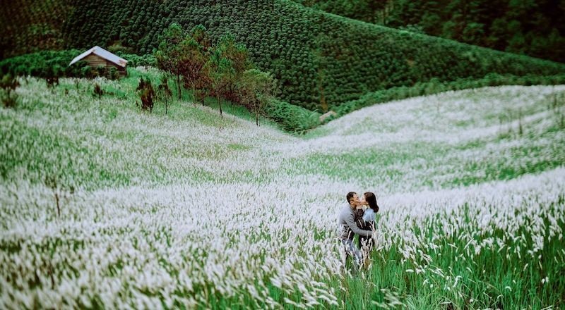 Cánh đồng cỏ tranh lãng mạn Cánh đồng cỏ tranh lãng mạn