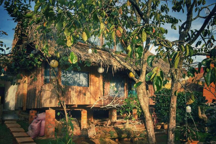 Khu nhà ngập màu xanh mát Khu vườn xanh ngập màu xanh mát