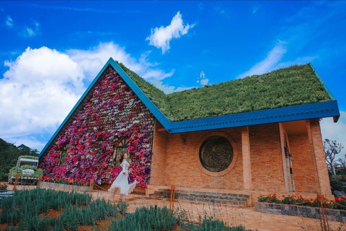Background ngàn hoa đẹp tựa tranh tại Fresh Garden
