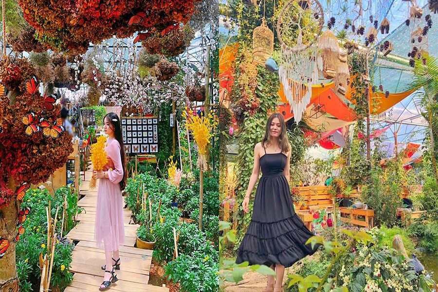 Ghé Triệu Đóa Hồng uống trà hoa