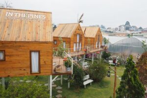 Những căn nhà gỗ mang vẻ đẹp cổ tích – In The Pines homestay