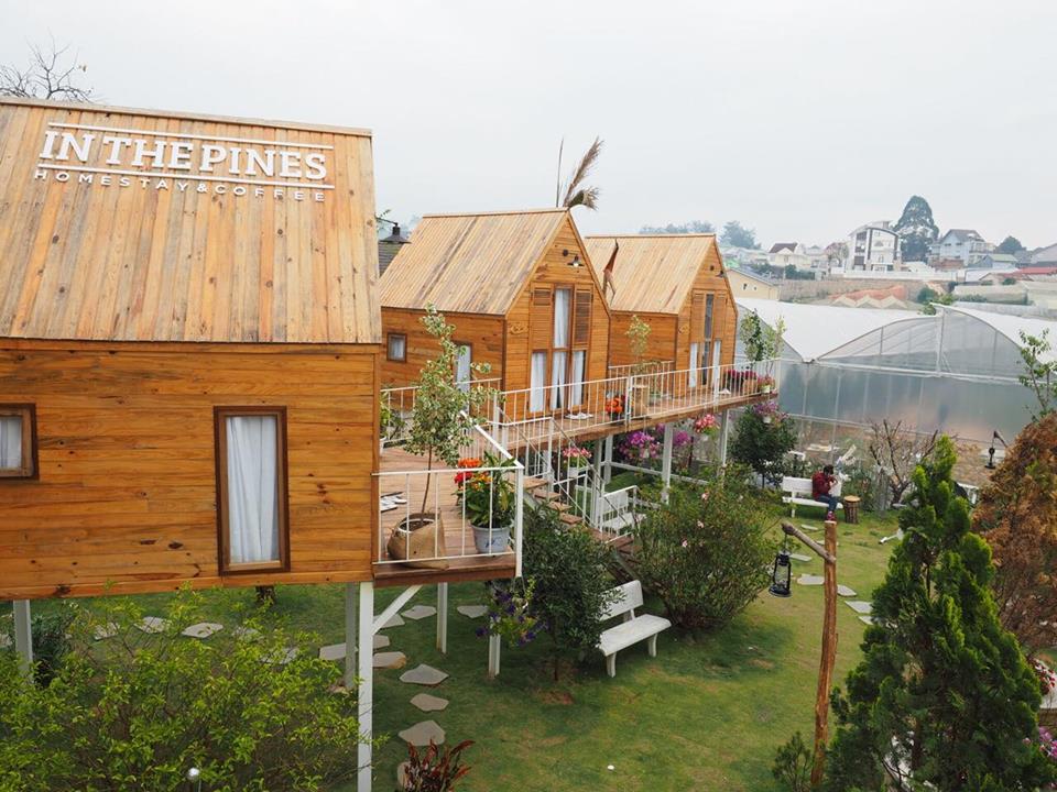 In The Pines homestay In The Pines homestay