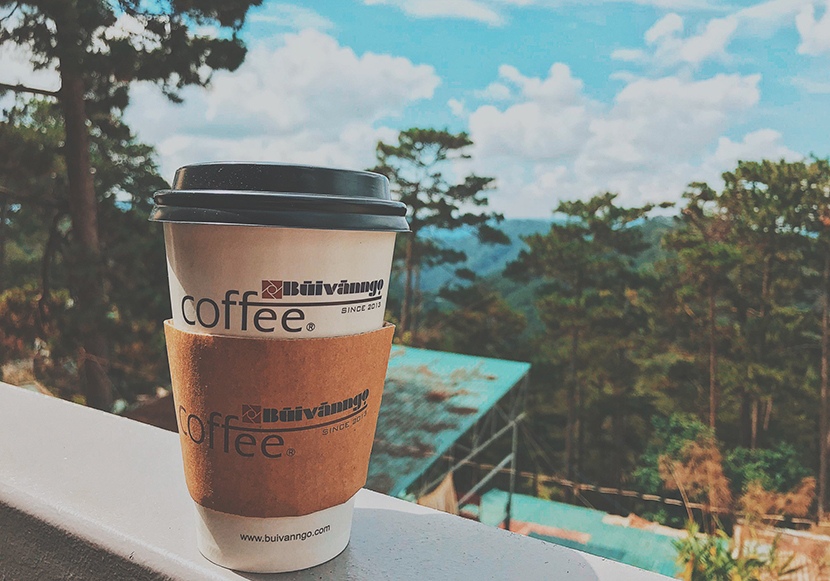 View thưởng cafe ngắm rừng thông View thưởng cafe ngắm rừng thông