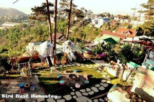 Homestay Bird’s Nest thiết kế tổ chim vô cùng độc đáo