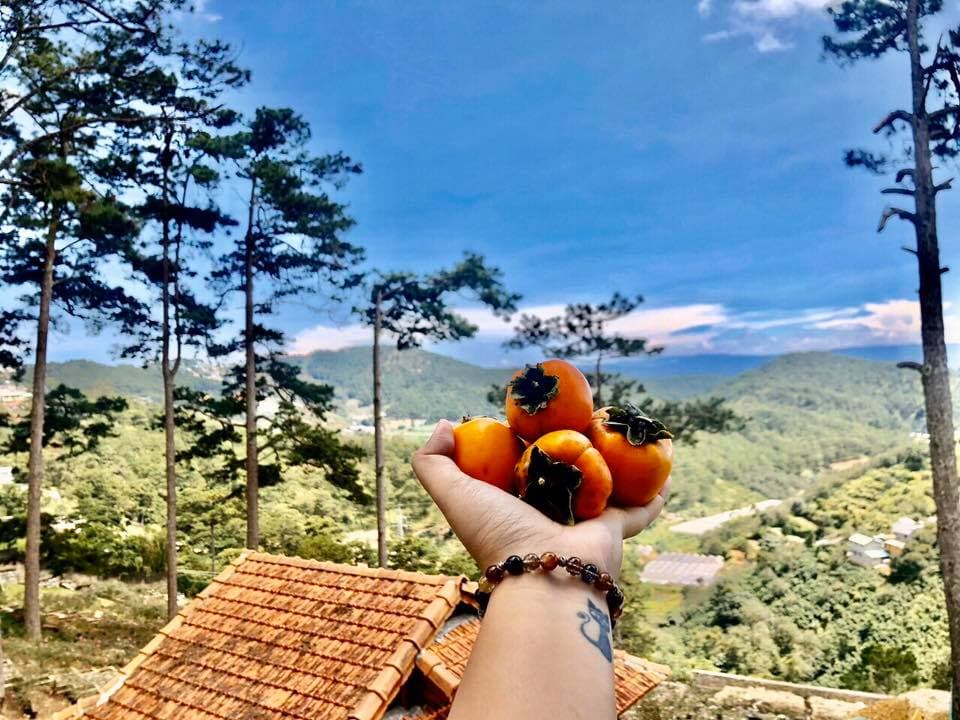 View ngắm thung lũng từ phòng ngủ