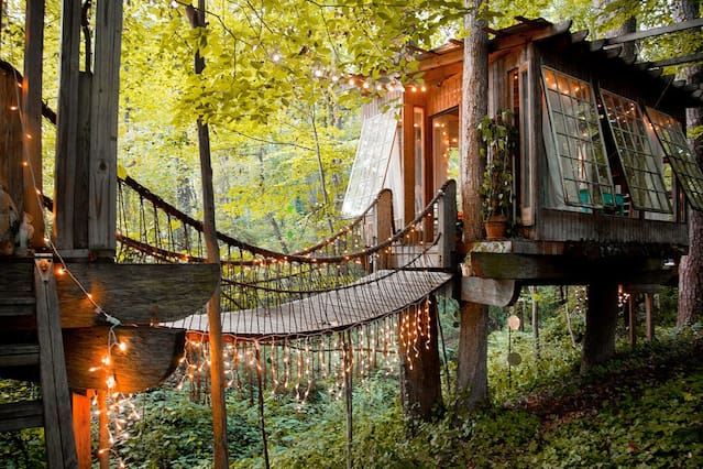 Cú Trên Cây Homestay Cú Trên Cây Homestay