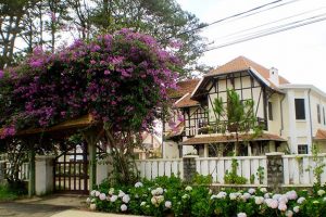 Khám phá Cafe sách Hoa Violet Ngày Thứ Tư mang phong cách Châu Âu