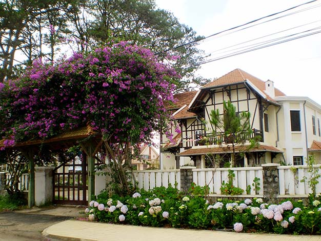 Cafe sách Hoa Violet Ngày Thứ Tư Cafe sách Hoa Violet Ngày Thứ Tư