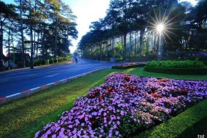 Những lý do nên đến Đà Lạt ít nhất 1 lần trong đời