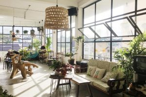 Quán cafe nhà kính có nhiều cây xanh – Thong.dalat. Space Cafe