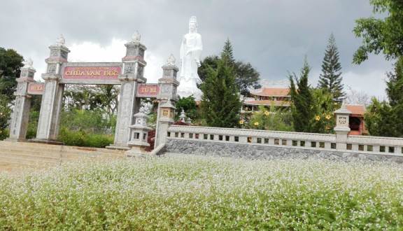 Chùa Vạn Đức Chùa Vạn Đức