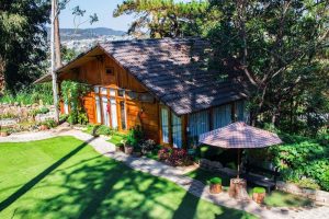 Ngôi nhà gỗ trong rừng mở ra thế giới cổ tích-  Nomini homestay
