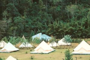 Khám phá Dalat Camp: Địa điểm cắm trại bình yên giữa núi rừng