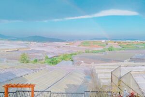 Soulmate homestay View thung lũng đèn và hồ bơi nổi trên cao gây mê