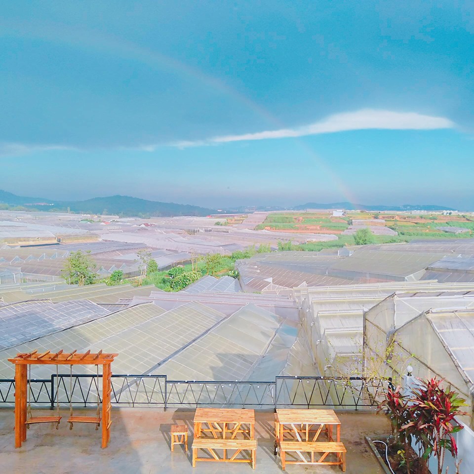 View ngắm thung lũng đèn View ngắm thung lũng đèn